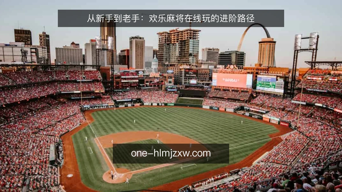 从新手到老手：欢乐麻将在线玩的进阶路径